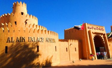 Al Ain Oasis Tour