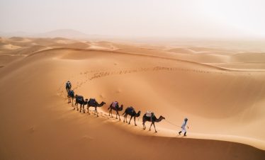 Camel Trekking